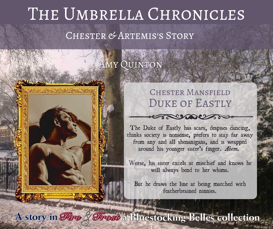 The Umbrella Chronicles 4